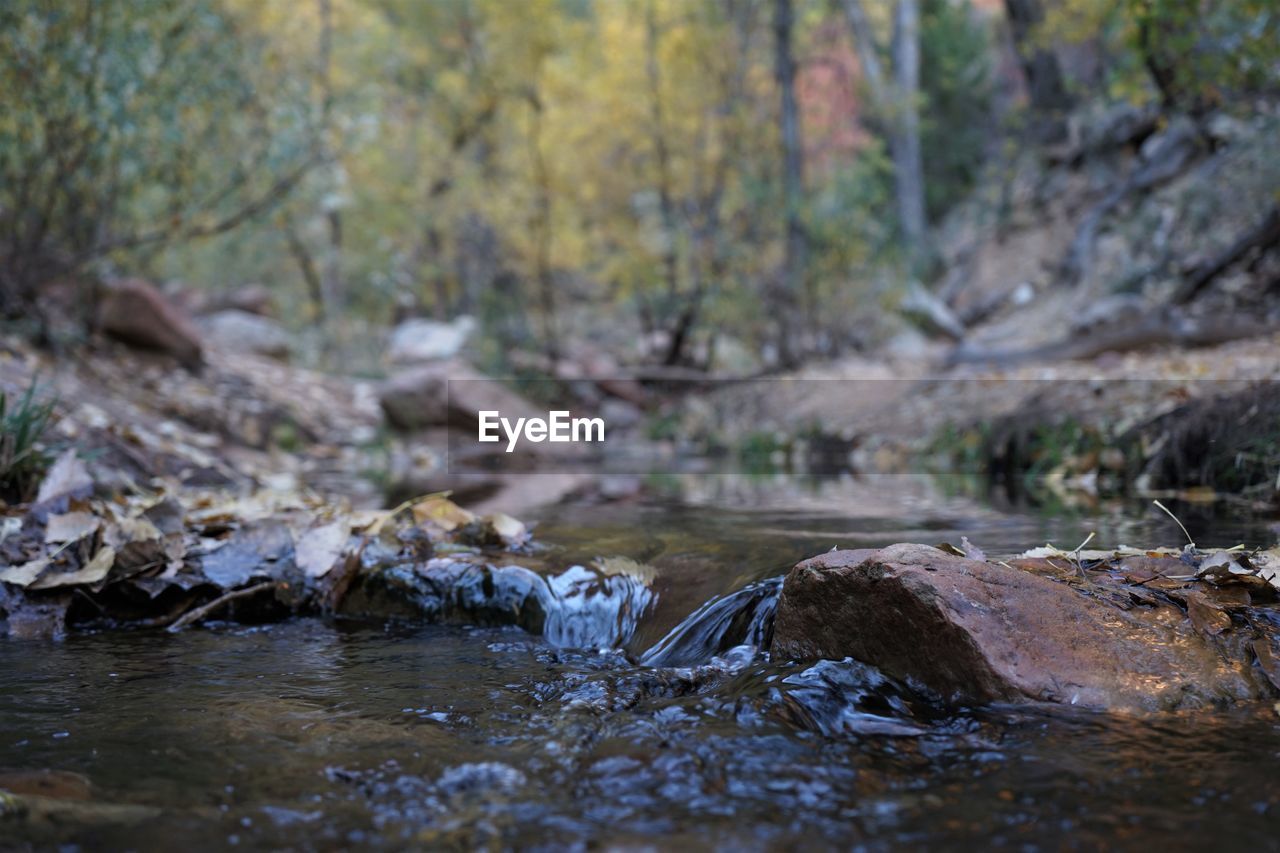 SURFACE LEVEL OF STREAM AMIDST ROCKS IN FOREST