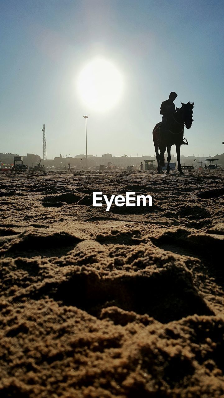 Man riding horse at beach against sky