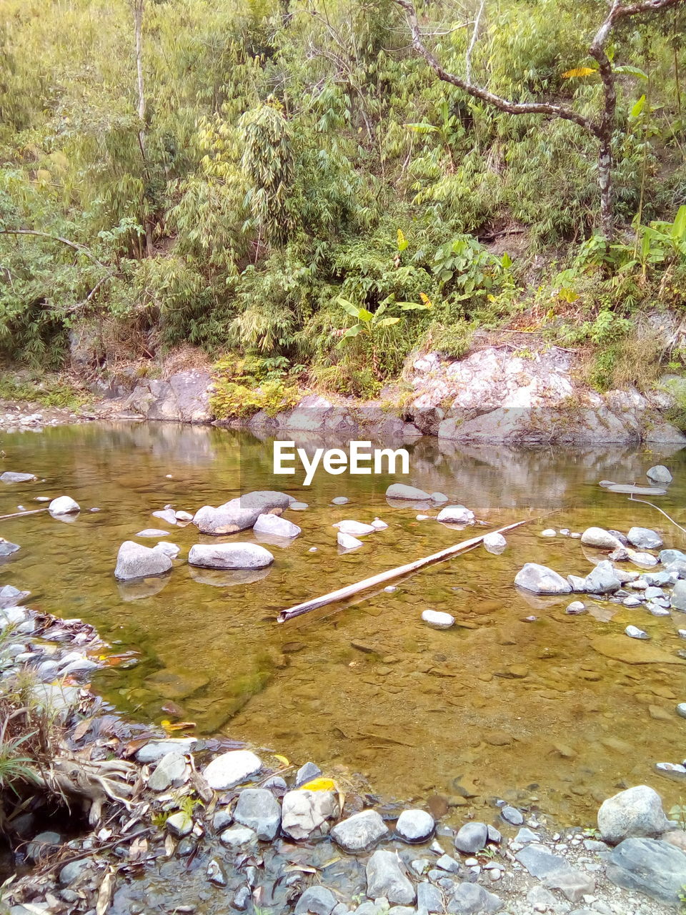 STREAM FLOWING THROUGH A RIVER