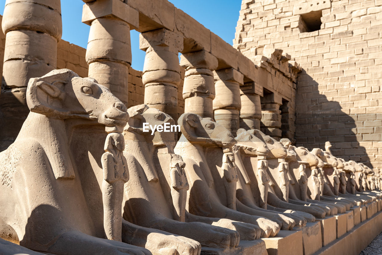 Low angle view of statue 
karnak temple in luxor egypt is a travel back in time