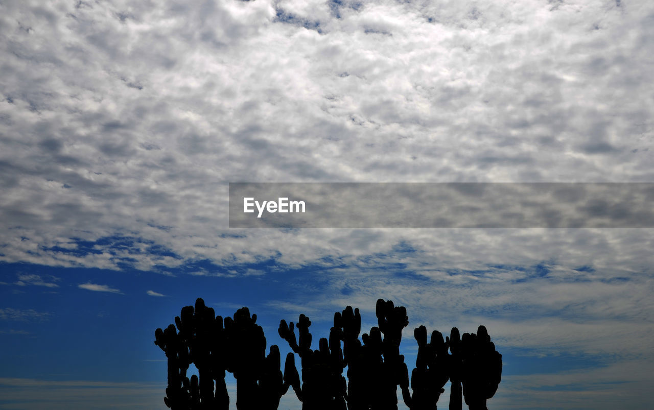 SILHOUETTE OF WOMAN AGAINST CLOUDY SKY