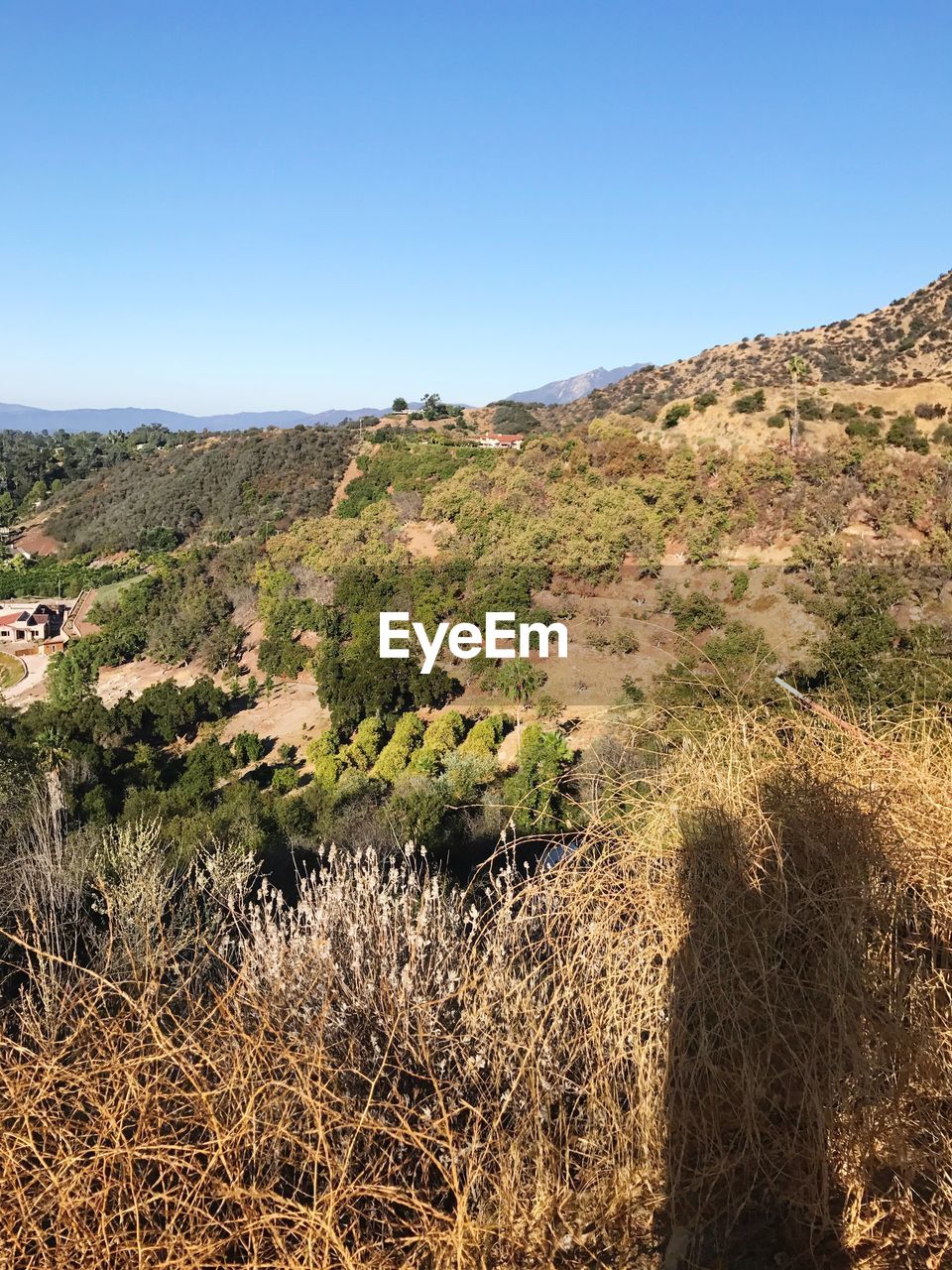 LANDSCAPE AGAINST CLEAR SKY