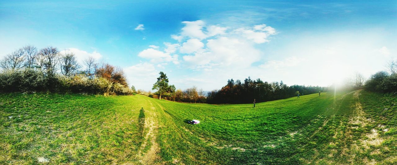 Scenic view of green landscape against blue sky