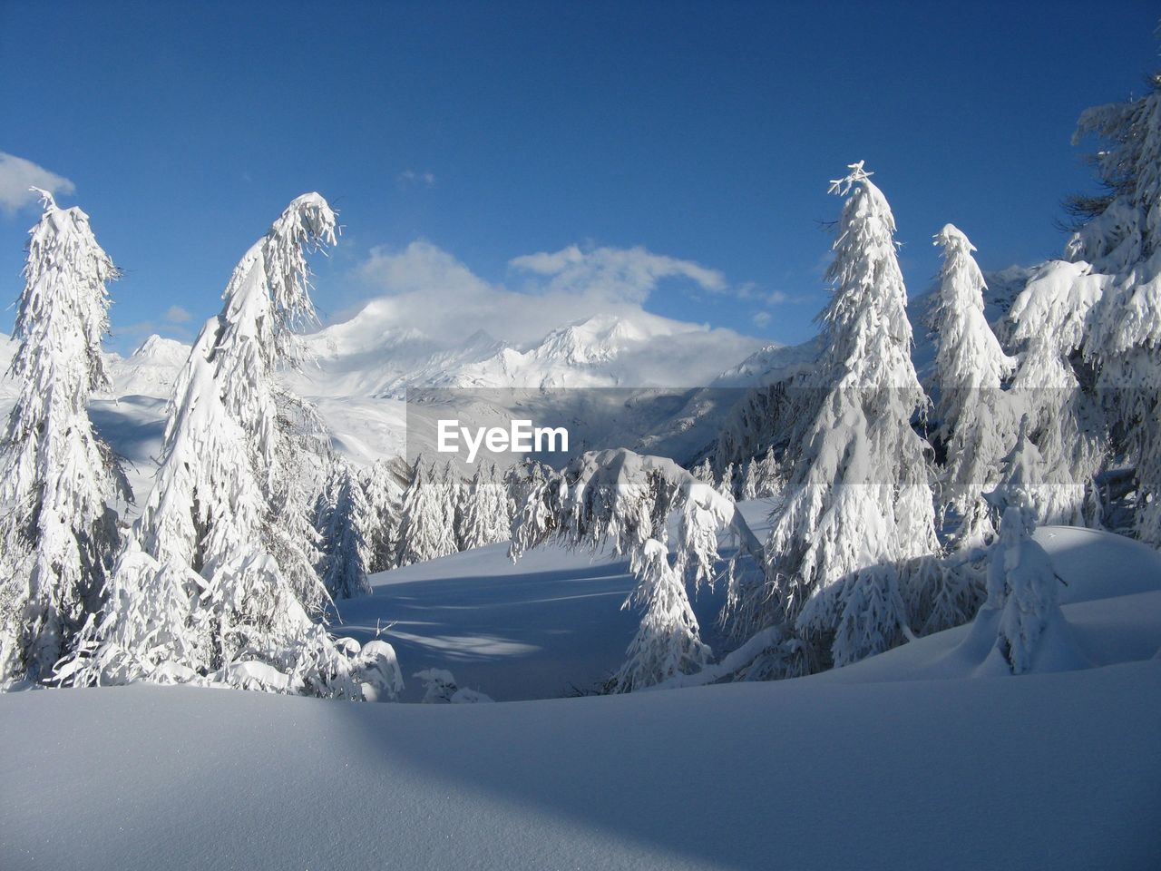 Enchanted landscape after heavy snowfall