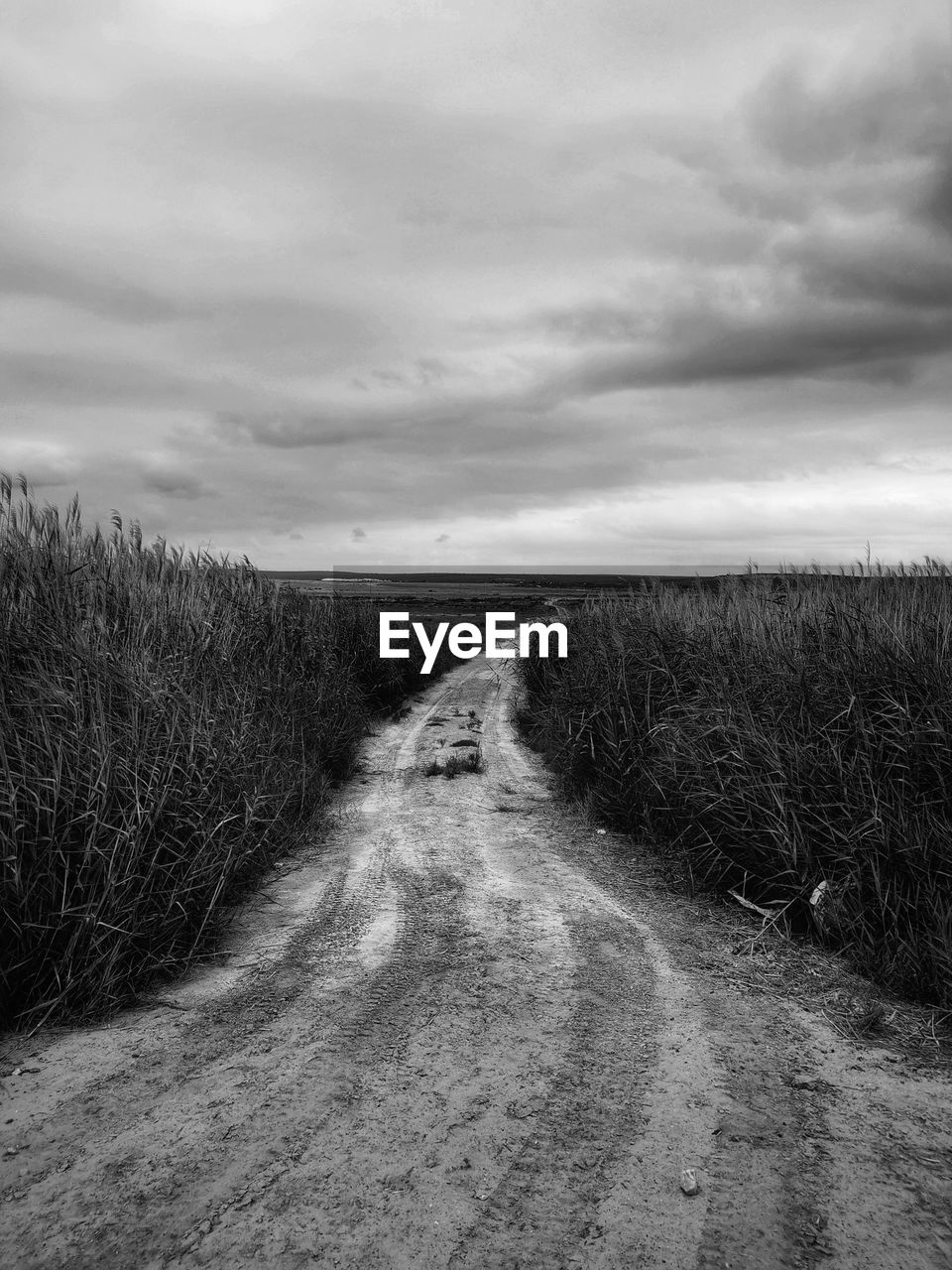 Dirt road on field against sky