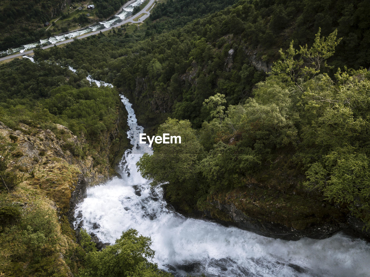 View of waterfall amidst trees in forest