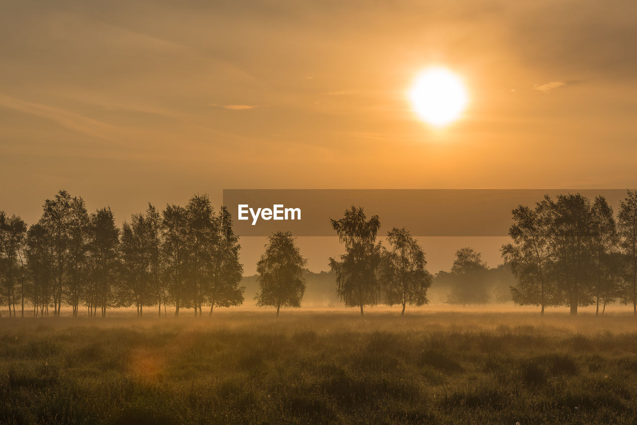 Scenic view of field against sky during sunset