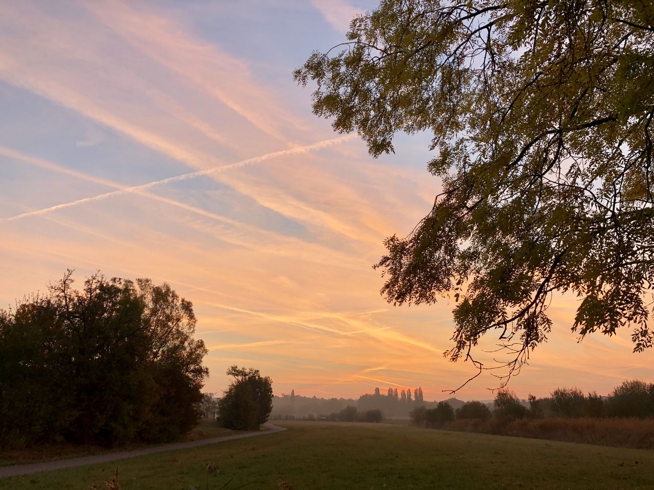 SCENIC VIEW OF FIELD AGAINST SKY AT SUNSET