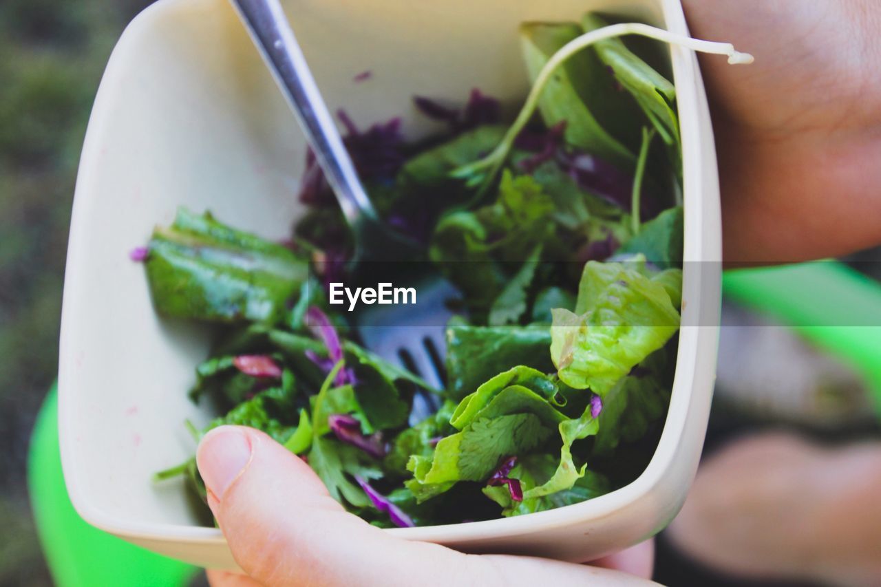 Cropped image of hands holding bowl with salad