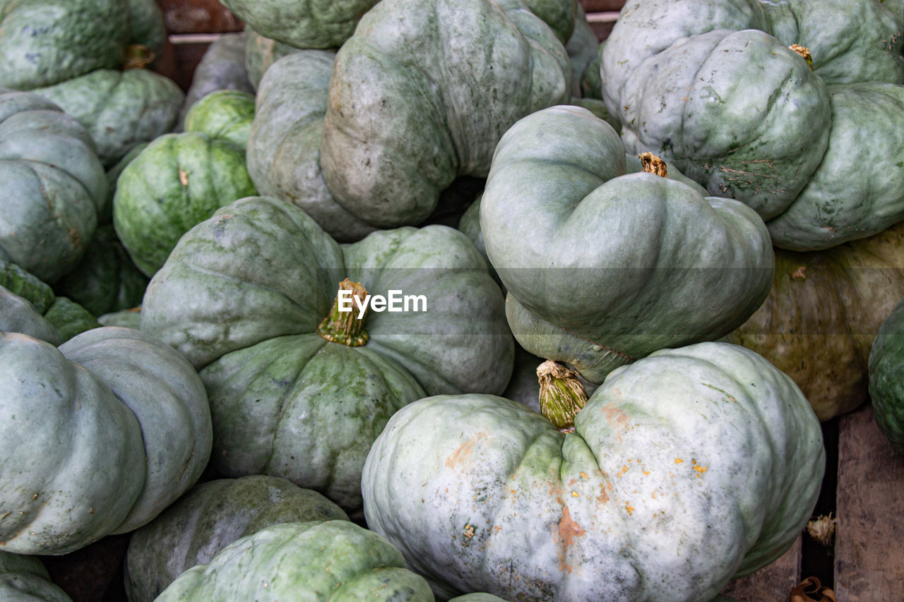 Full frame shot of pumpkins at market