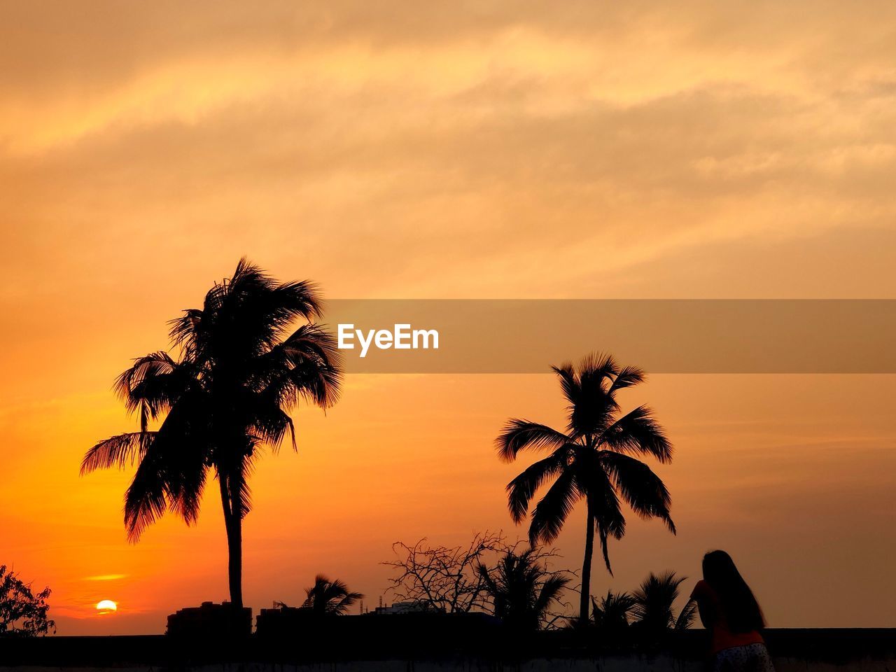 SILHOUETTE PALM TREES AGAINST ORANGE SKY