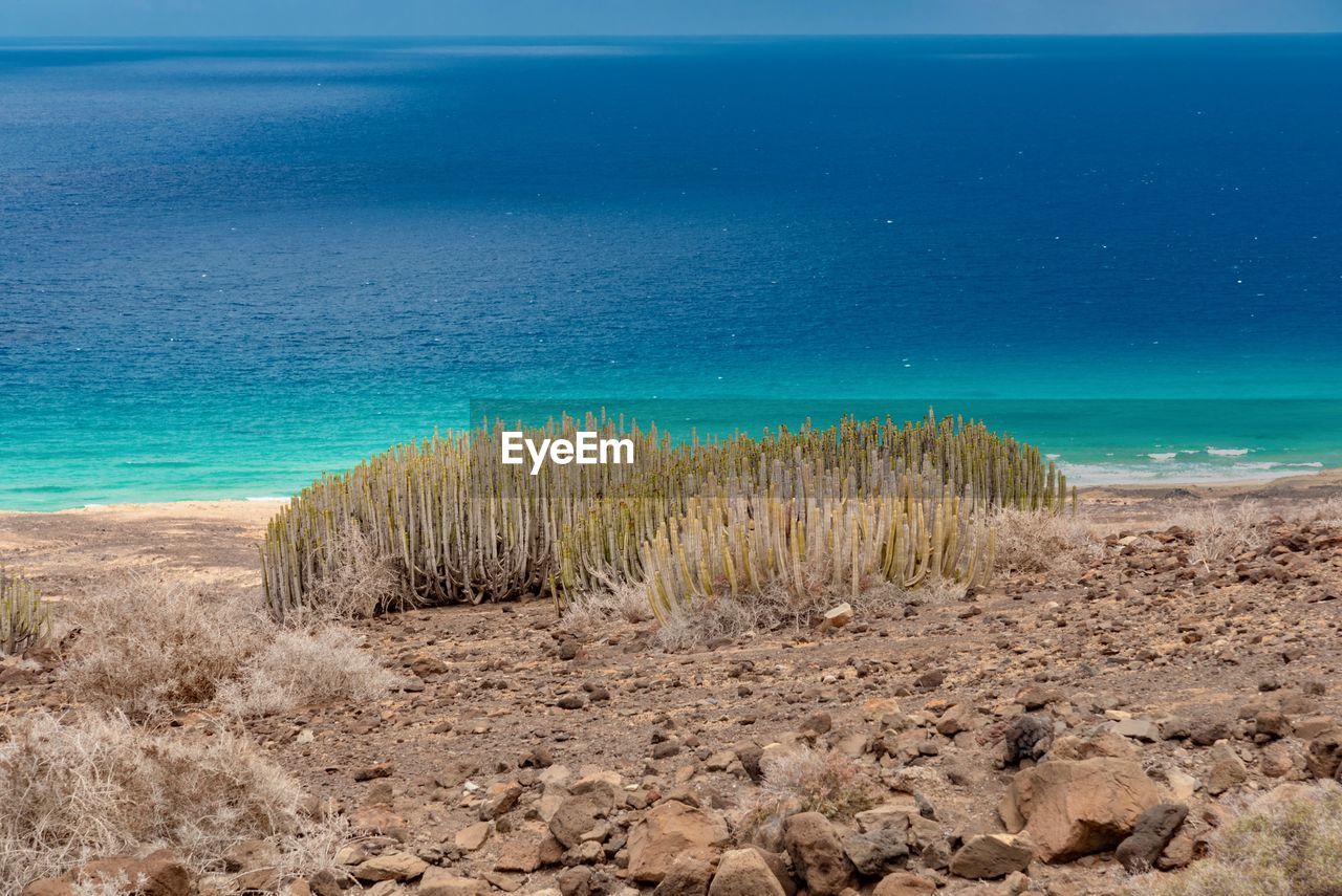 Scenic view of beach against blue sky