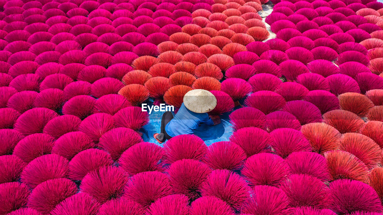 petal, red, flower, pink, purple, adult, high angle view, large group of objects, women, plant, abundance, nature, macro photography, day, circle
