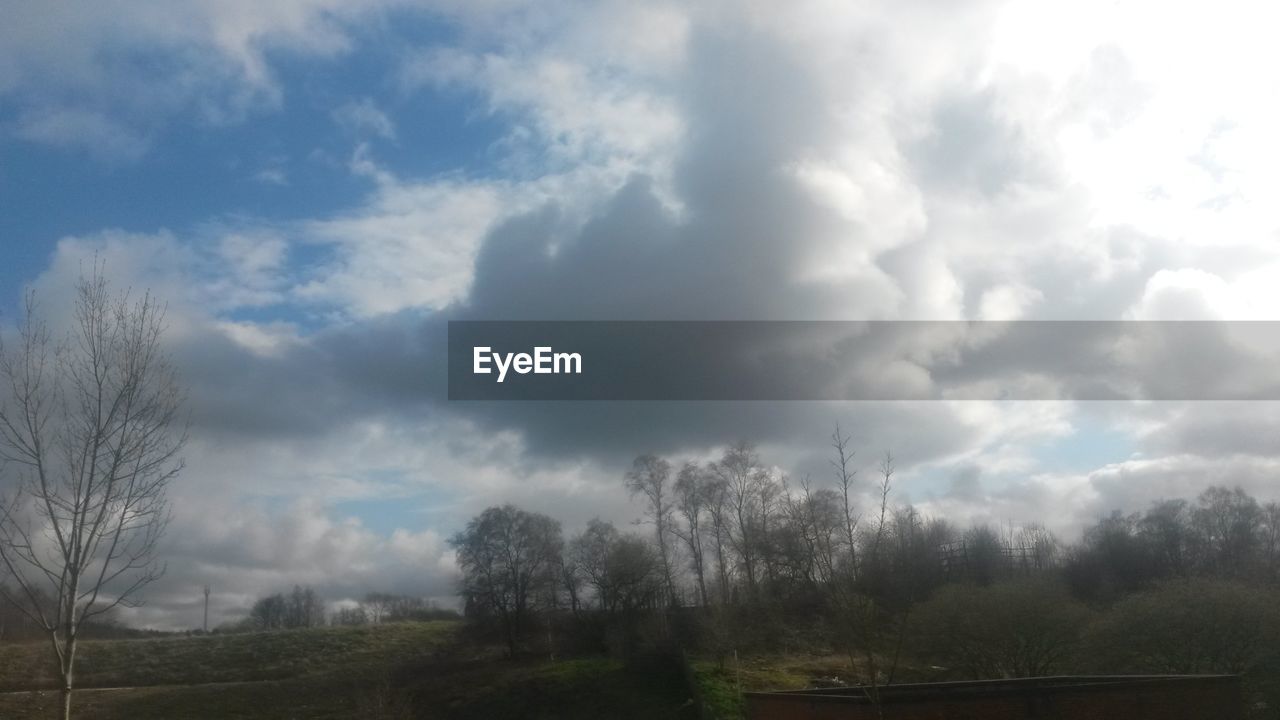 TREES ON FIELD AGAINST CLOUDY SKY