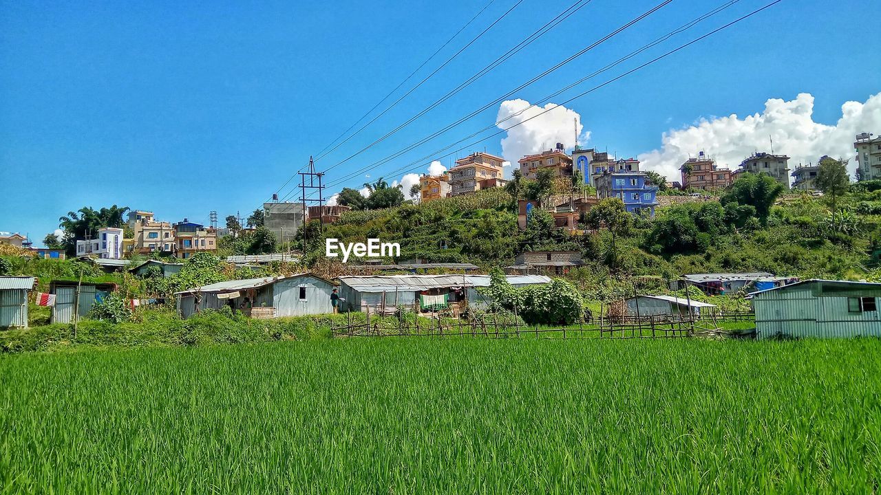 Houses on field against clear blue sky