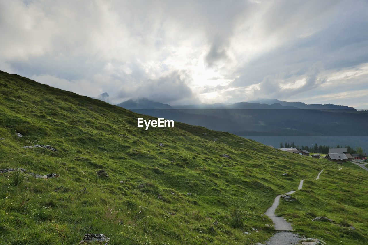 Staying out on a summer evening after a long hike. the odor of alpine herbs fills the air.