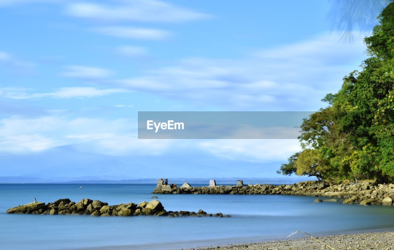 SEA BY TREES AGAINST SKY