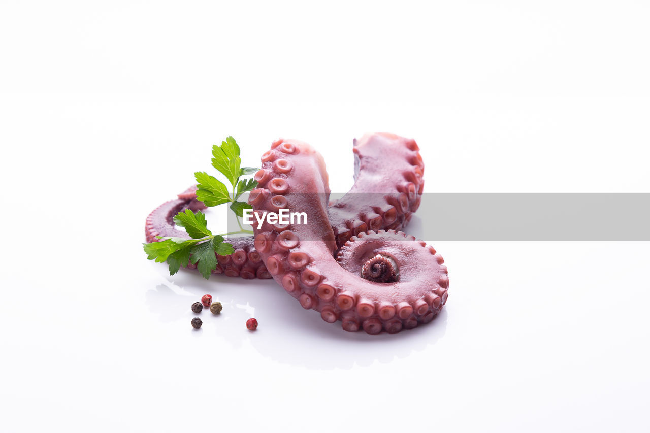 Tentacles of stew octopus isolated on white background.