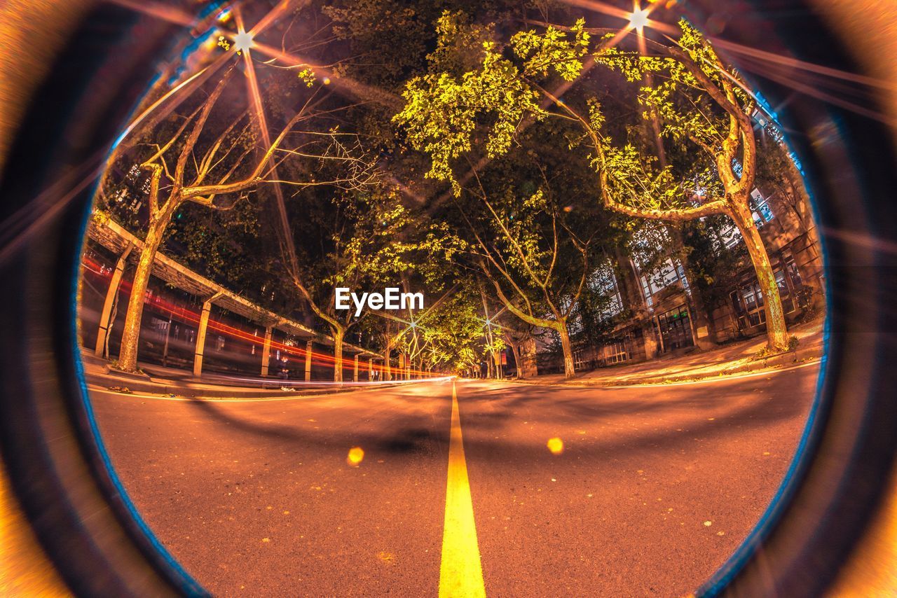 Road and trees seen through lens at night