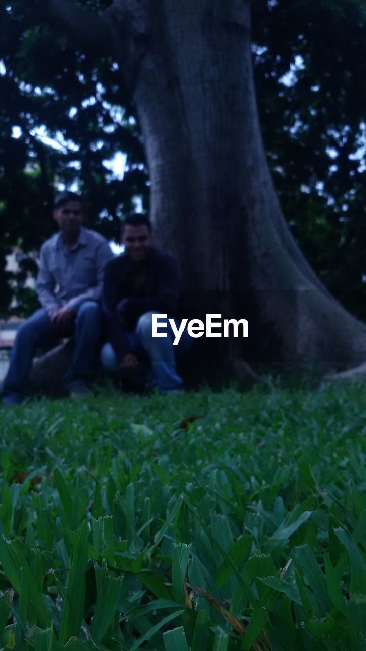 PEOPLE SITTING ON FIELD BY TREE TRUNK