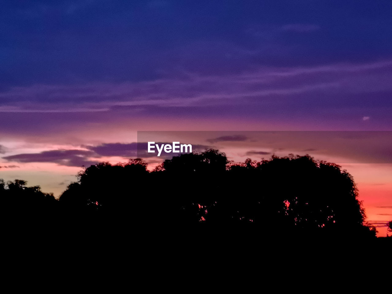 SILHOUETTE TREES AGAINST SKY DURING SUNSET