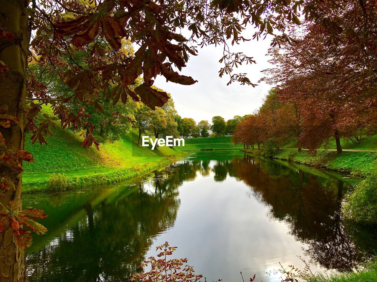 REFLECTION OF TREES IN LAKE AGAINST SKY