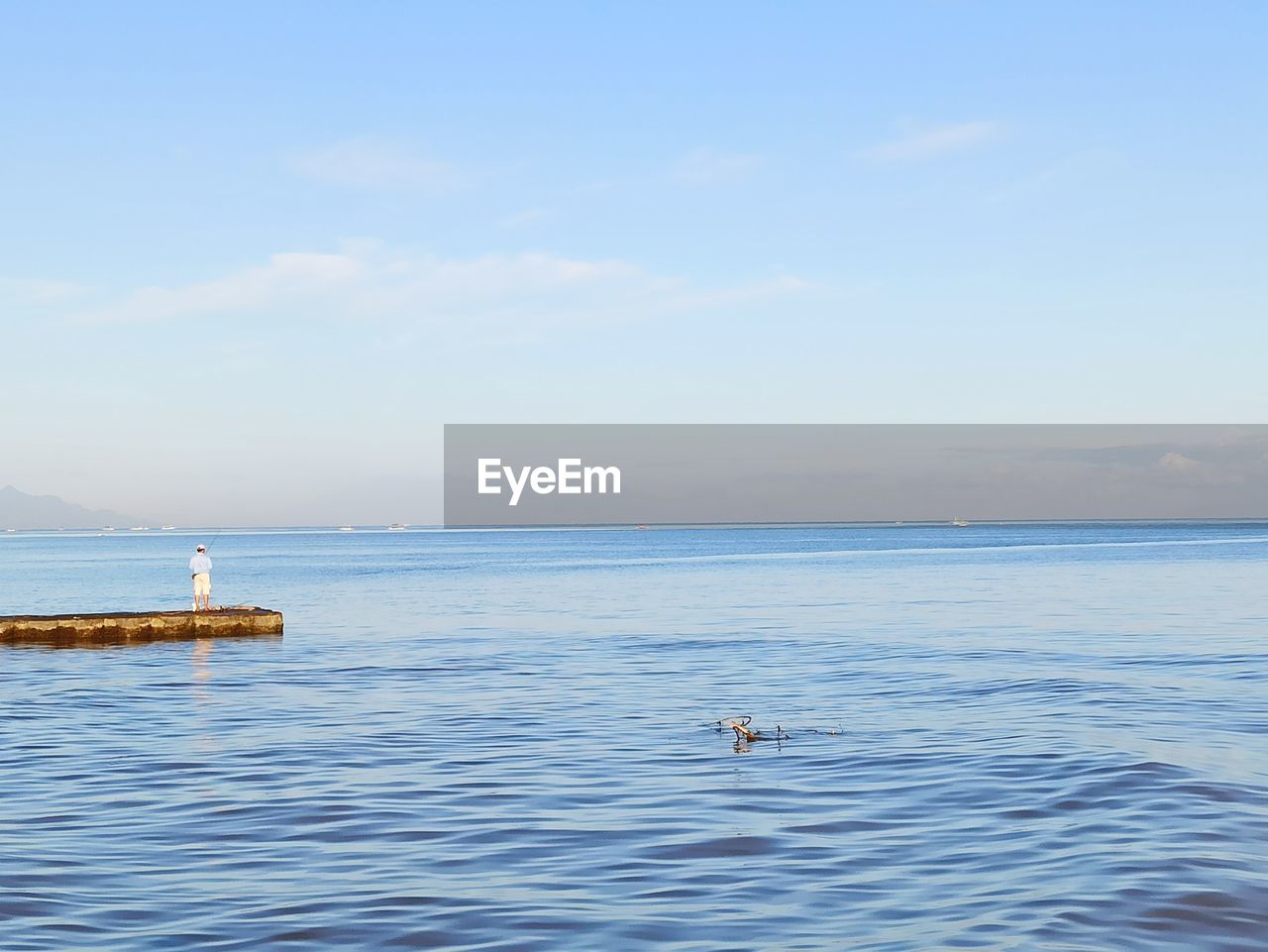 VIEW OF BIRDS ON SEA