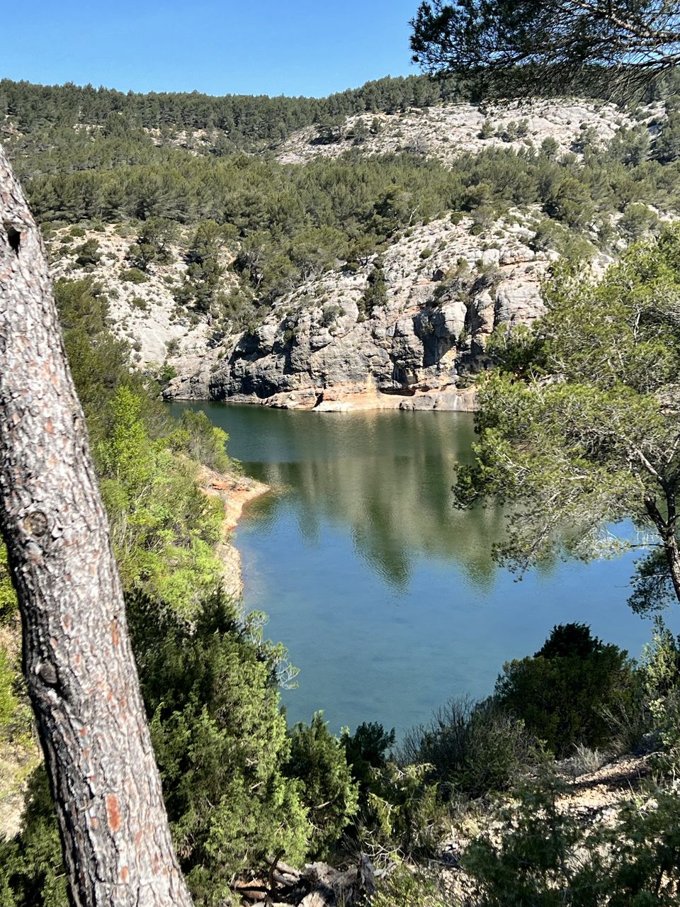 water, tree, plant, scenics - nature, nature, beauty in nature, wilderness, environment, tranquility, landscape, lake, sky, no people, tranquil scene, land, non-urban scene, mountain, travel destinations, pinaceae, day, clear sky, pine tree, coniferous tree, forest, outdoors, travel, reflection, blue, sunny, pine woodland, tourism, sunlight, rock, reservoir, idyllic, remote