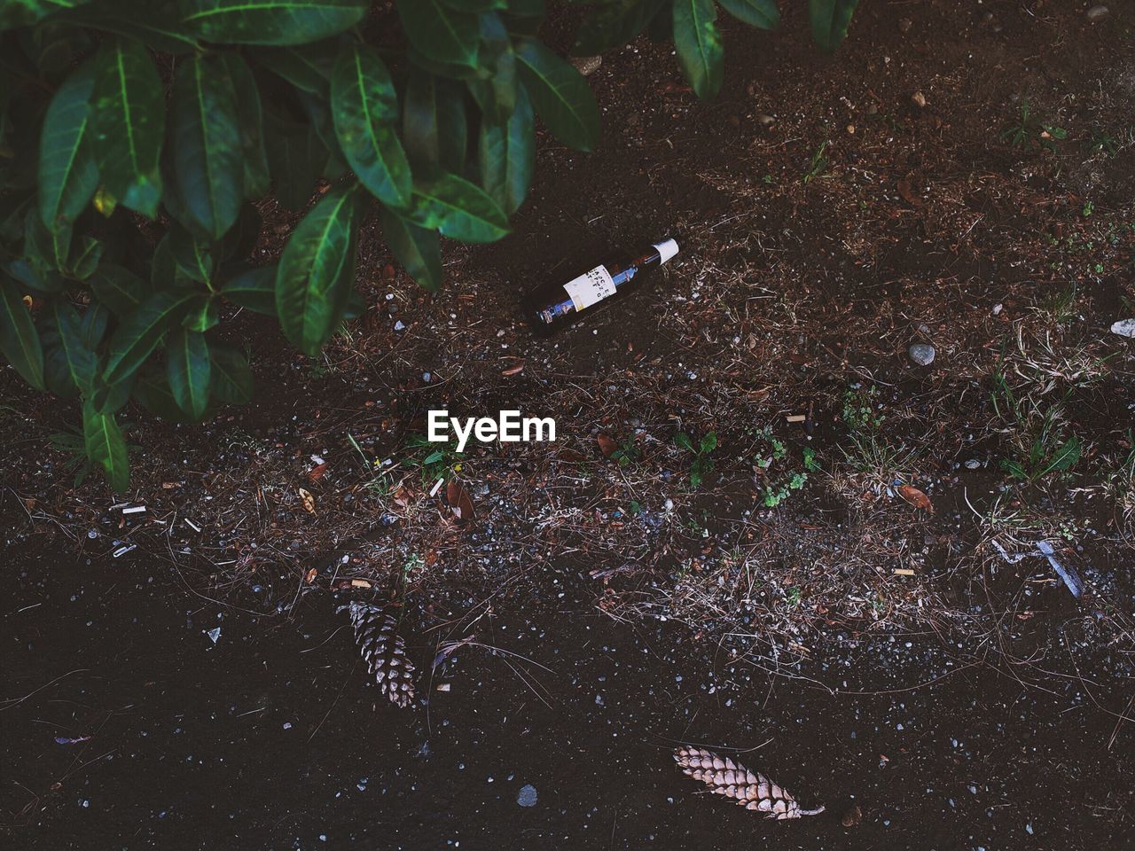 High angle view of polluted ground