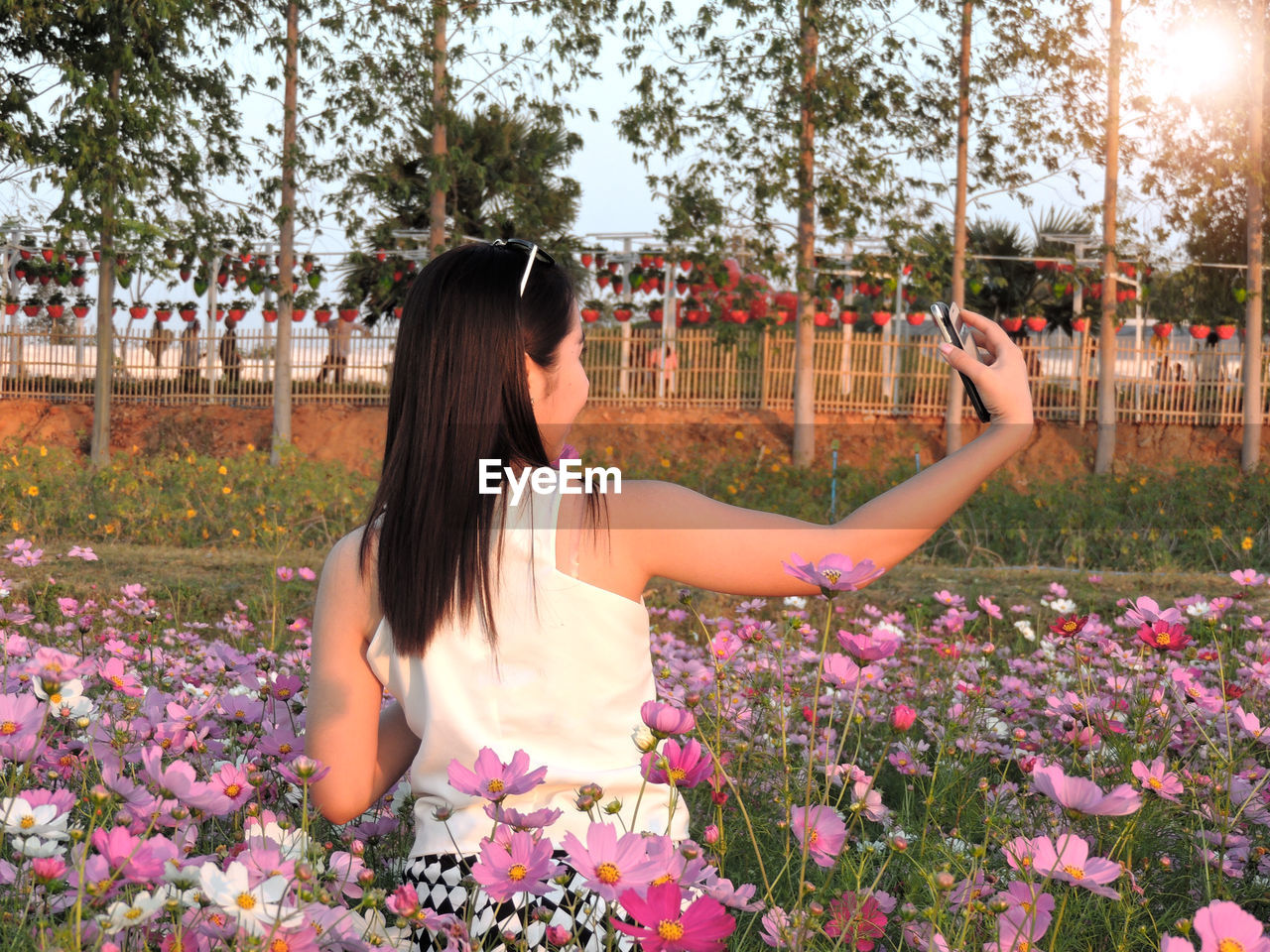 Rear view of woman using phone while standing amidst flowering plants
