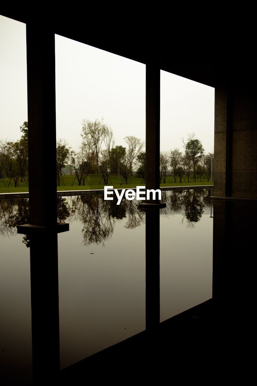 REFLECTION OF TREES ON WINDOW