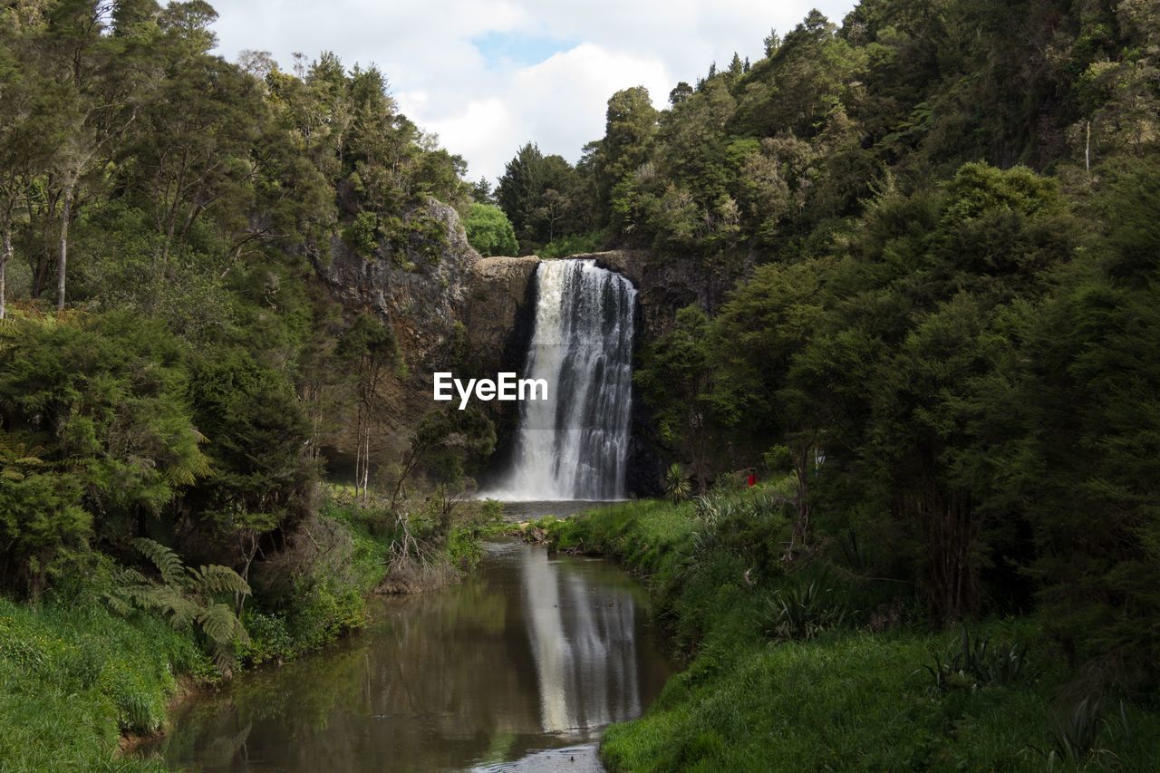 Scenic view of waterfall in forest