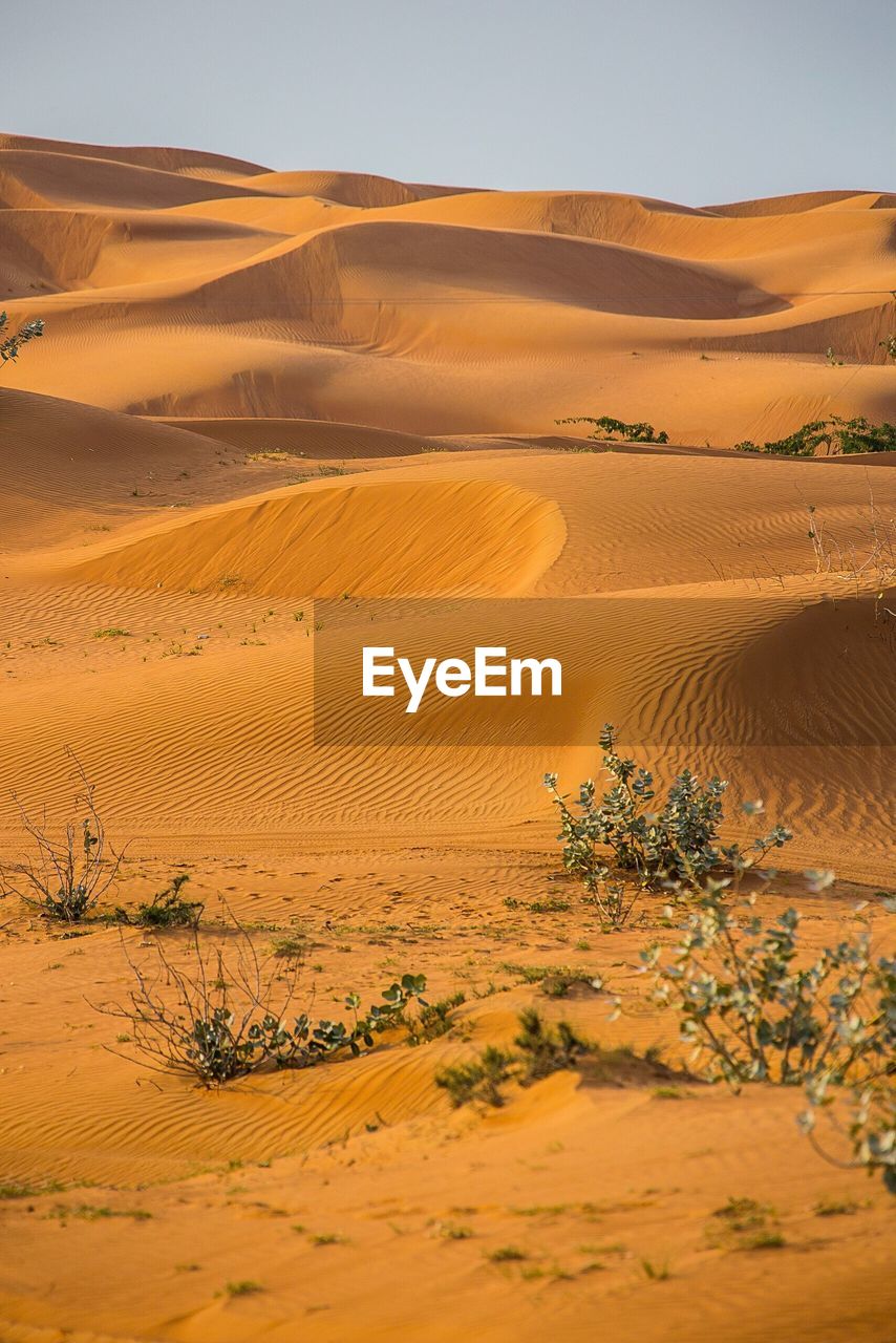 Scenic view of desert against sky