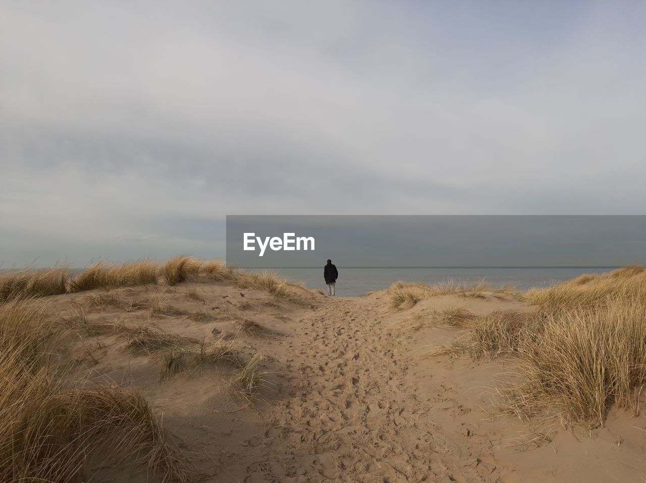 Rear view of man on beach against sky