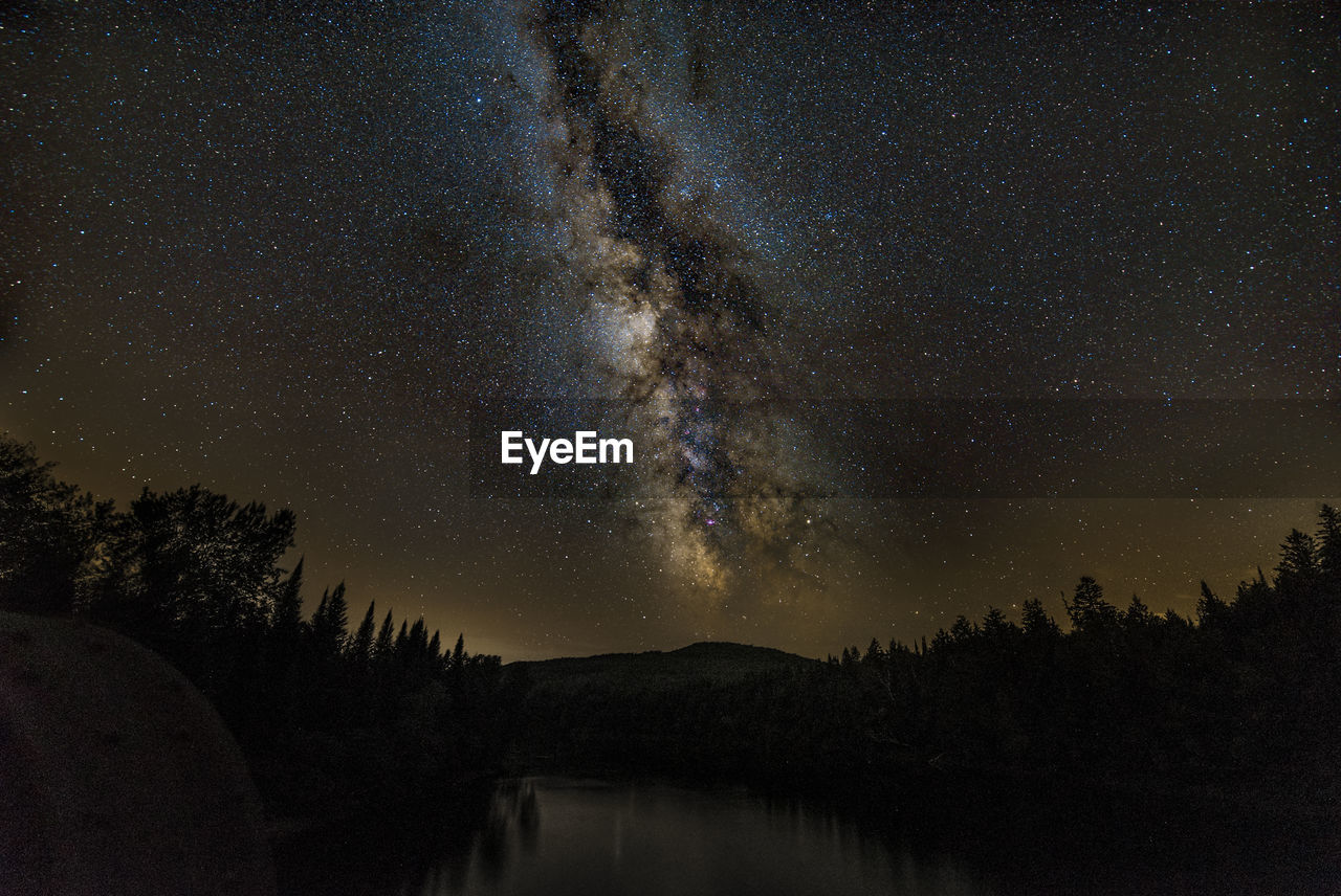 SCENIC VIEW OF SILHOUETTE TREES AGAINST STAR FIELD AT NIGHT