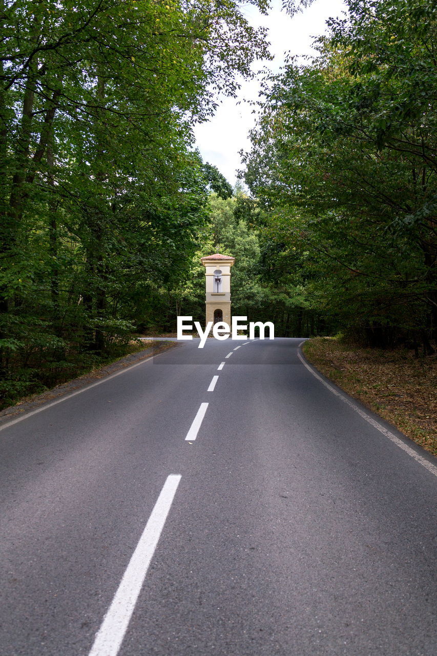 EMPTY ROAD SIGN BY TREES