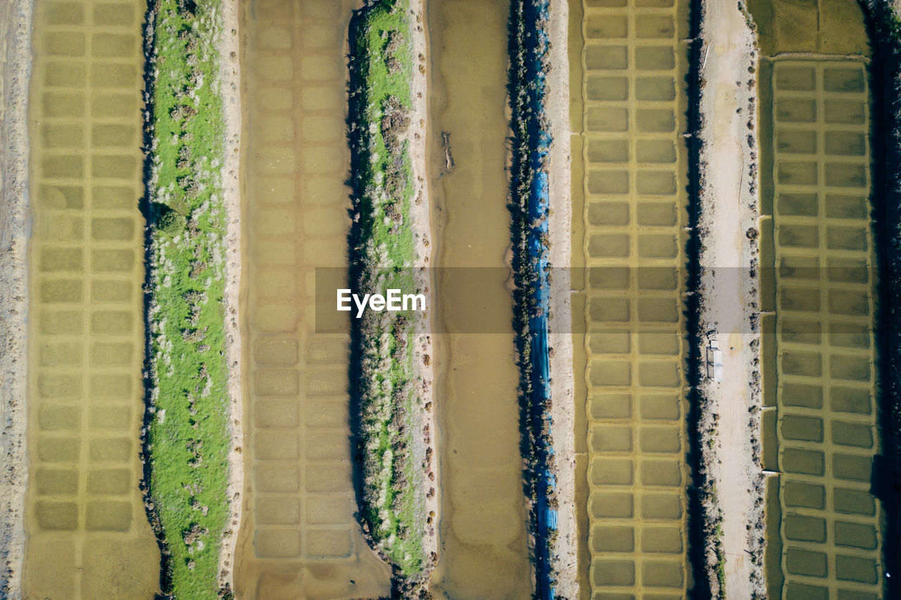 High angle view of agricultural field