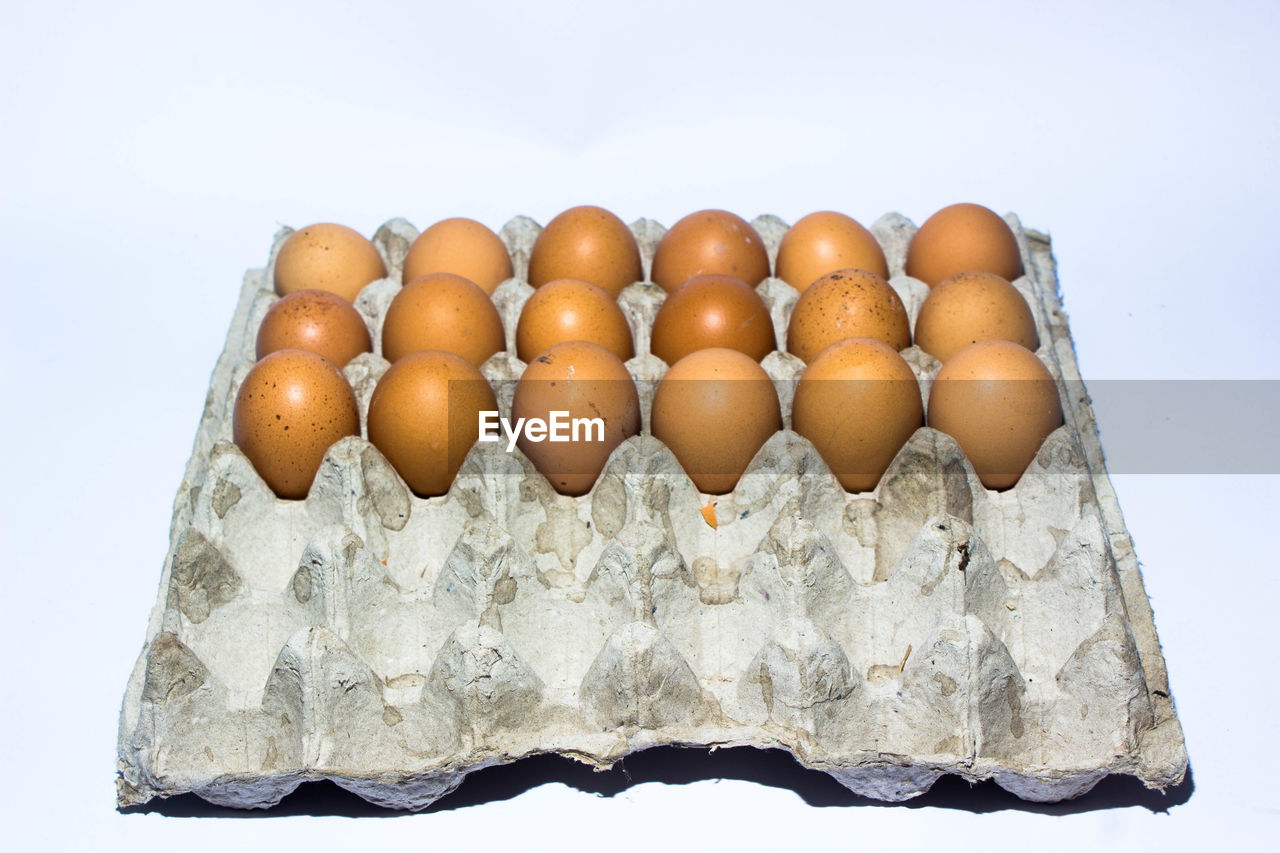 EGGS ON WHITE BACKGROUND