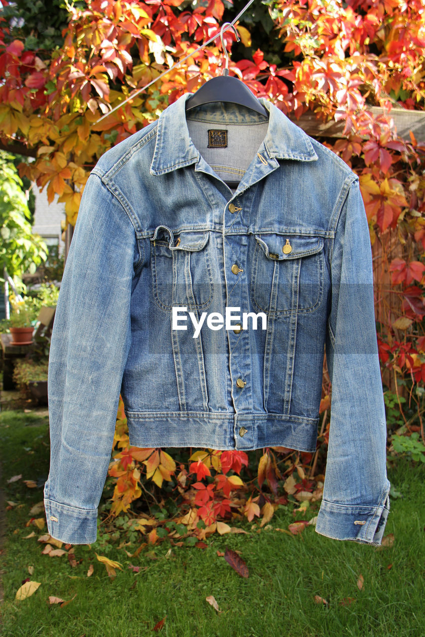 Denim jacket hanging against autumn trees
