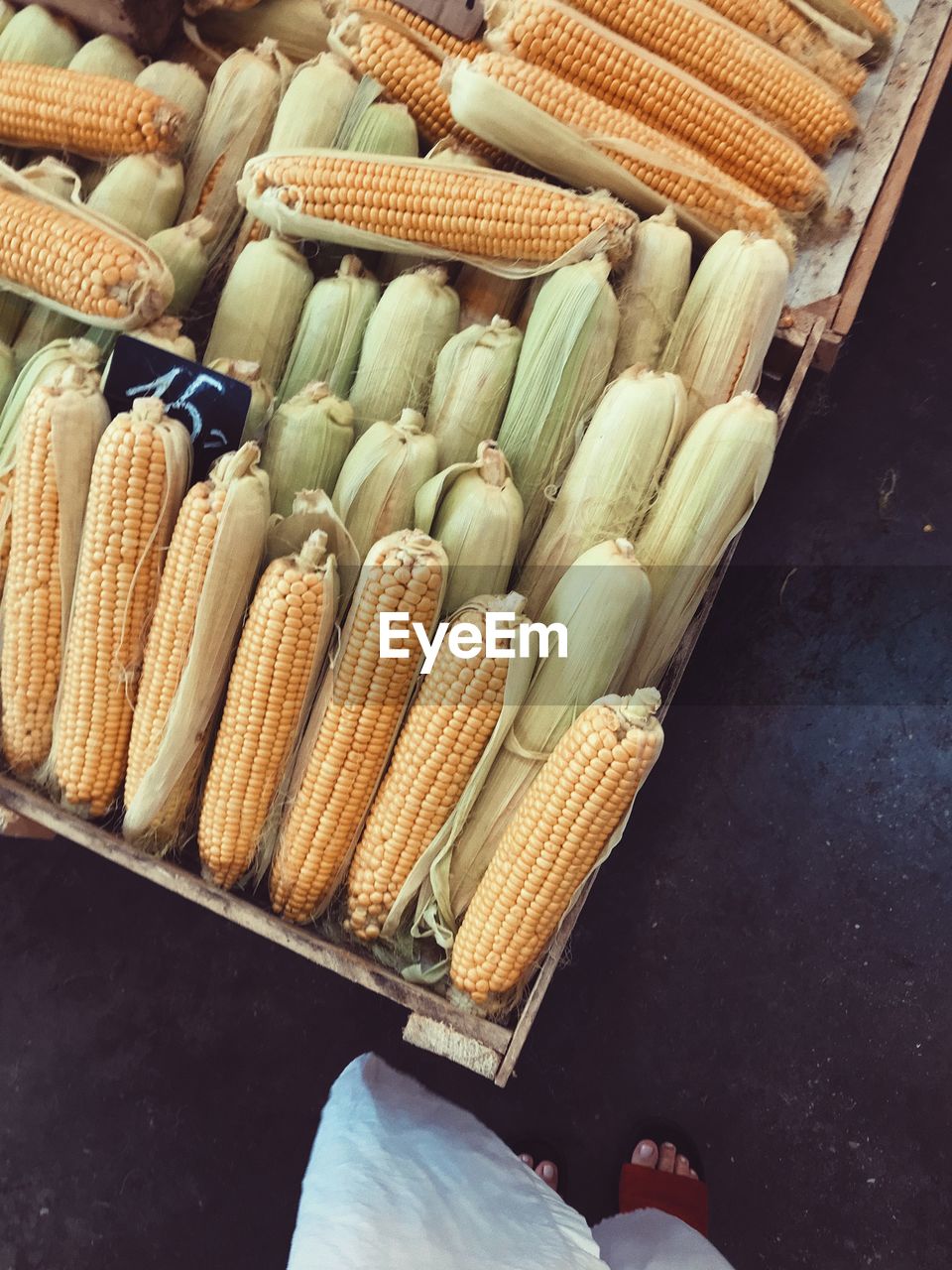 Agriculture. ripe corn in boxes. high quality photo