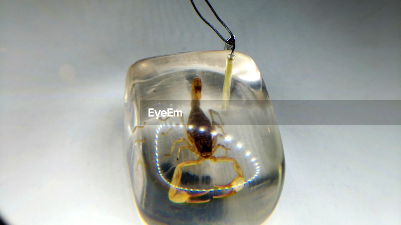 CLOSE-UP OF ILLUMINATED LIGHT BULB HANGING AGAINST WALL