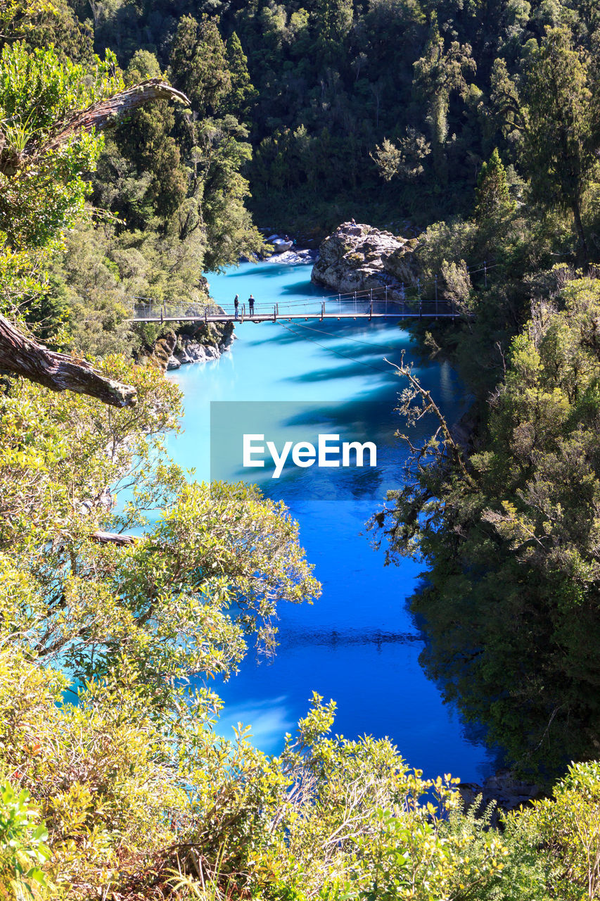 High angle view of lake in forest