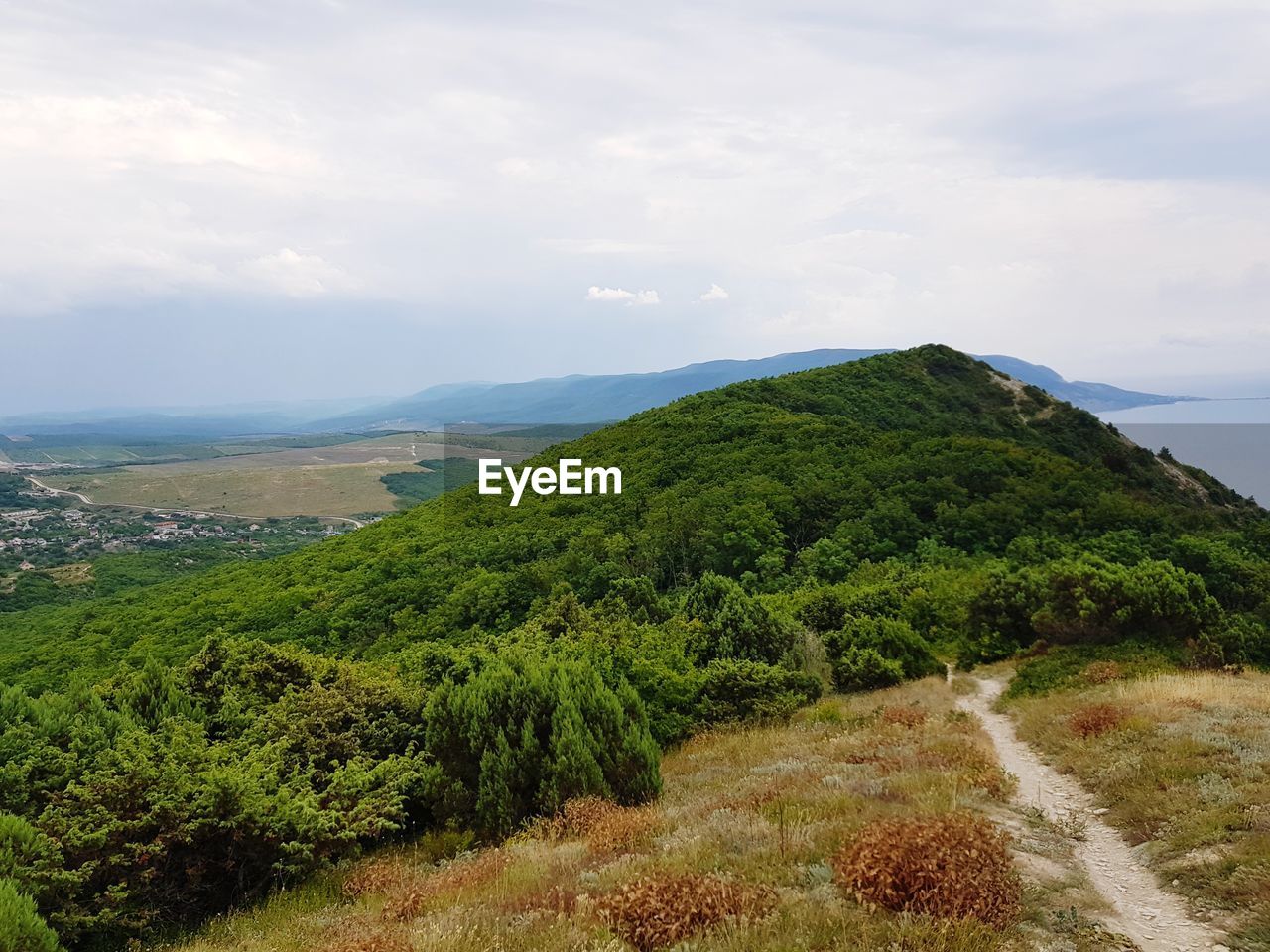 SCENIC VIEW OF TREES AND LANDSCAPE AGAINST SKY