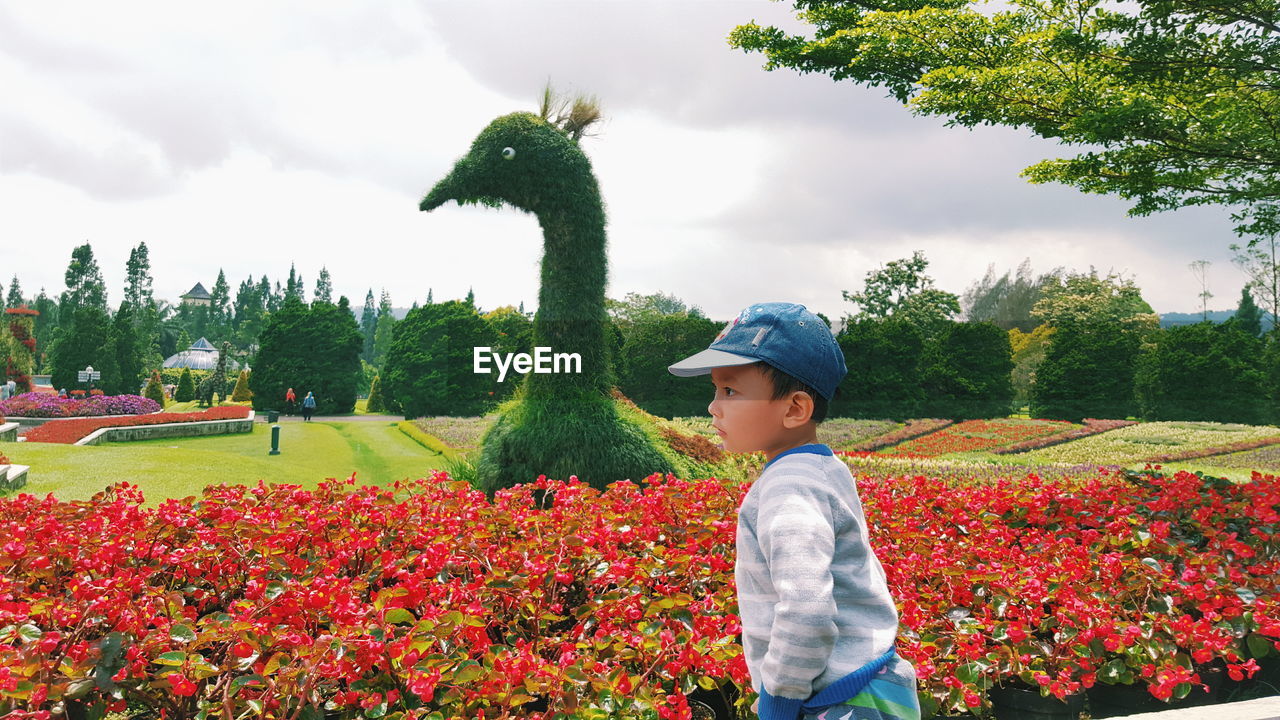 Side view of boy against bird topiary at botanical garden