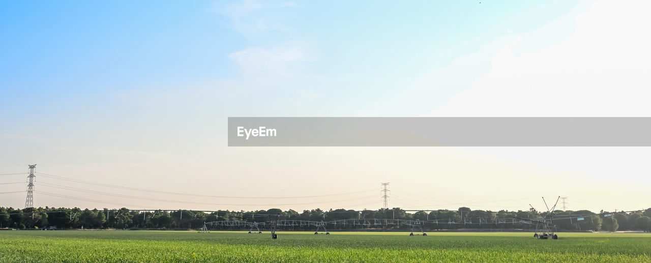 FIELD AGAINST SKY