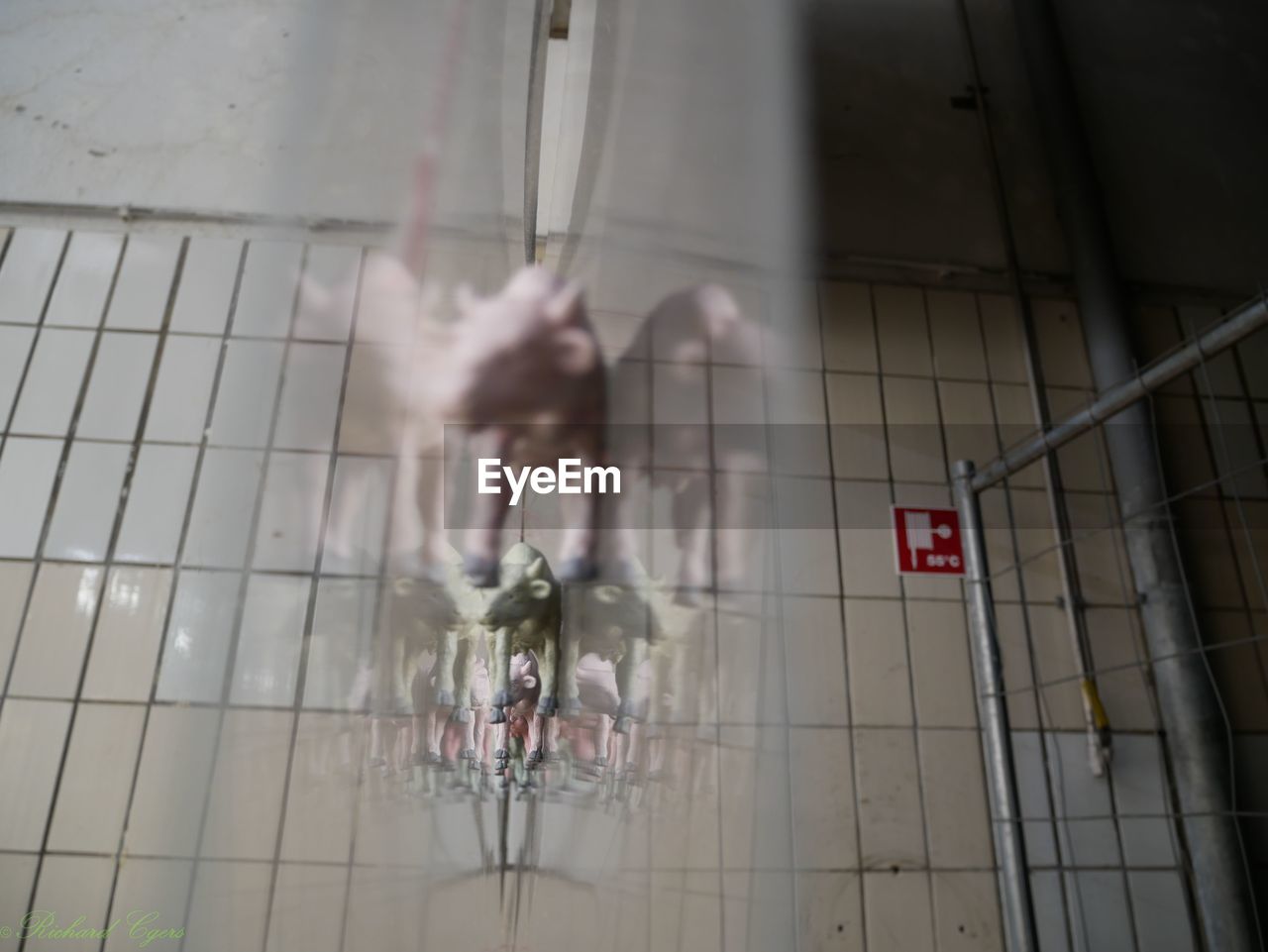 HIGH ANGLE VIEW OF GLASS WALKING ON FLOOR BY BUILDING