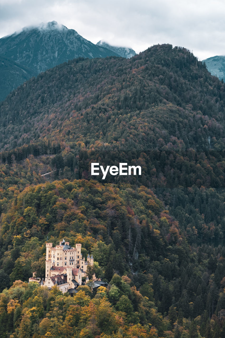 HIGH ANGLE VIEW OF TREES AND BUILDINGS AGAINST MOUNTAIN