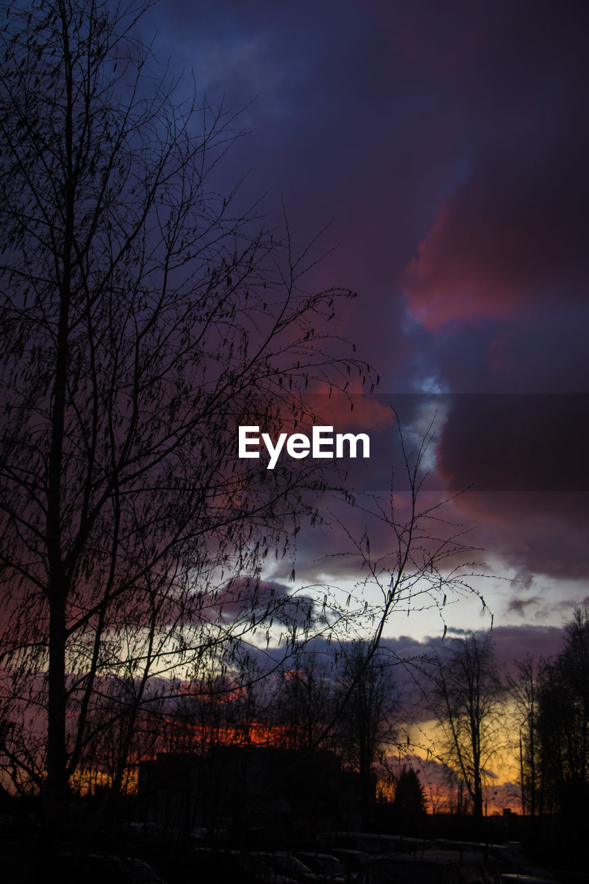 SILHOUETTE TREES AGAINST SKY DURING SUNSET