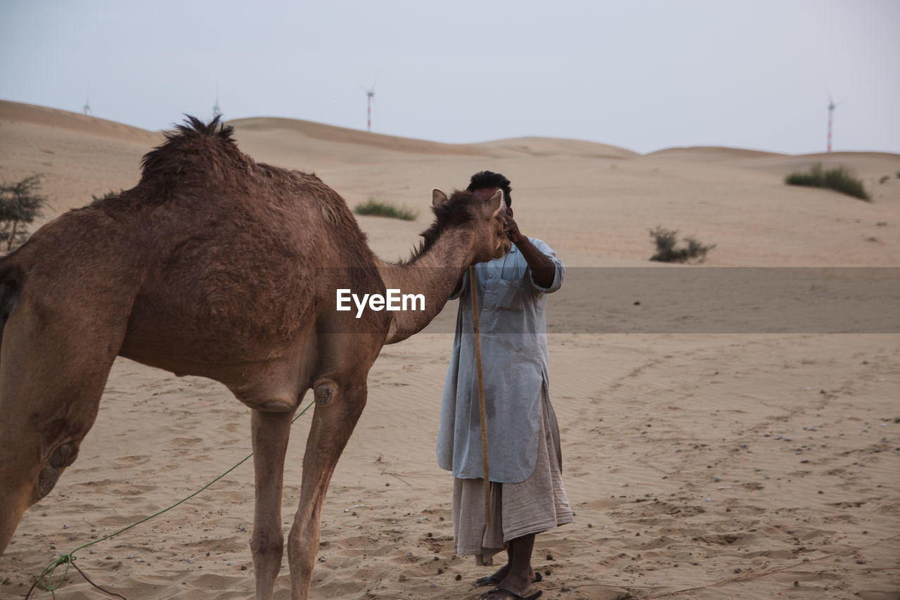 Man with camel standing at desert