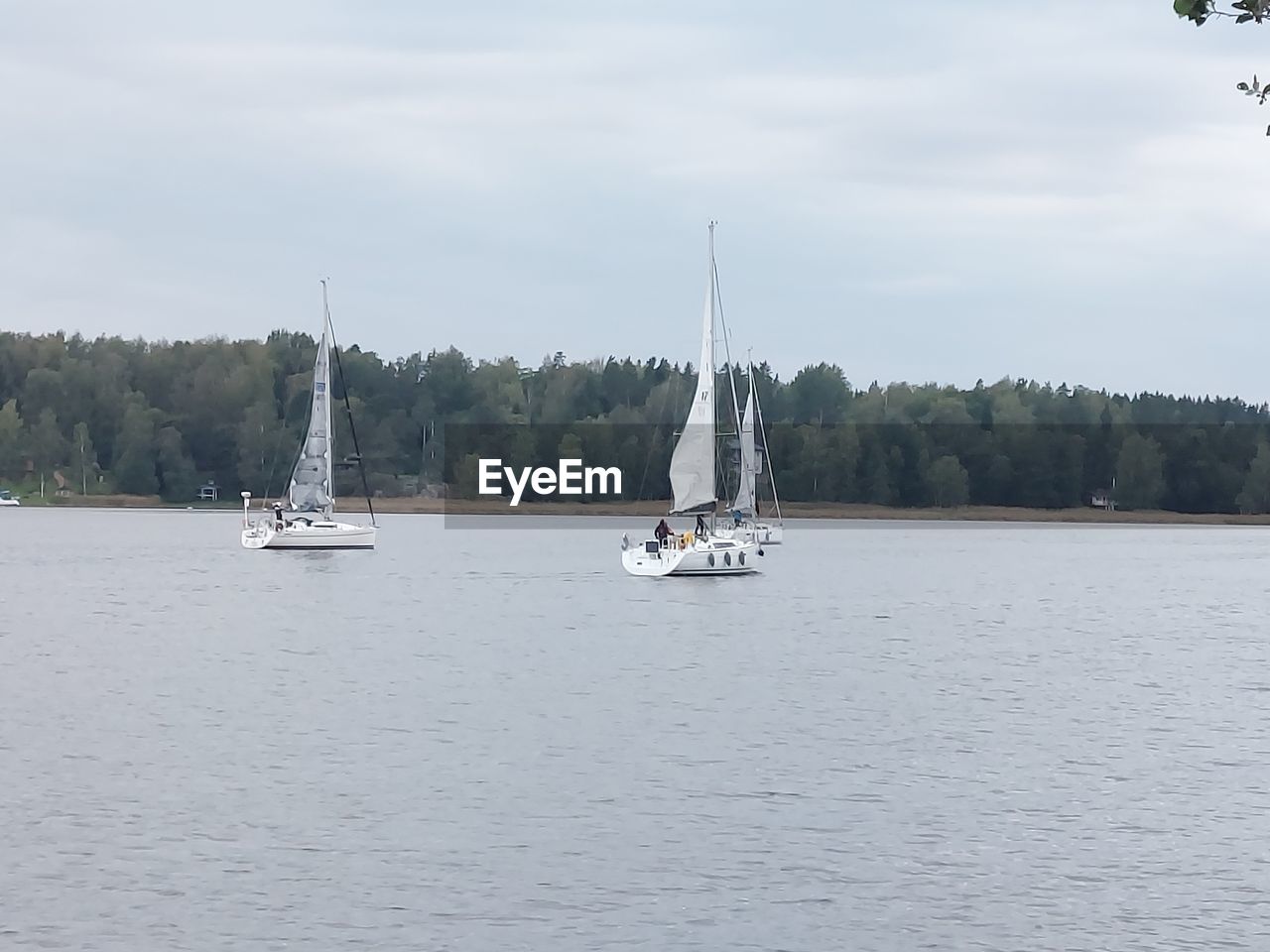 water, nautical vessel, sailboat, transportation, mode of transportation, sailing, vehicle, sky, boat, sea, cloud, nature, tree, mast, travel, pole, plant, day, beauty in nature, environment, yacht, ship, sports, scenics - nature, tranquil scene, windsports, sailing ship, no people, vacation, watercraft, outdoors, tranquility, luxury, trip, holiday, non-urban scene, competition, idyllic, travel destinations, yachting, regatta, recreation, waterfront